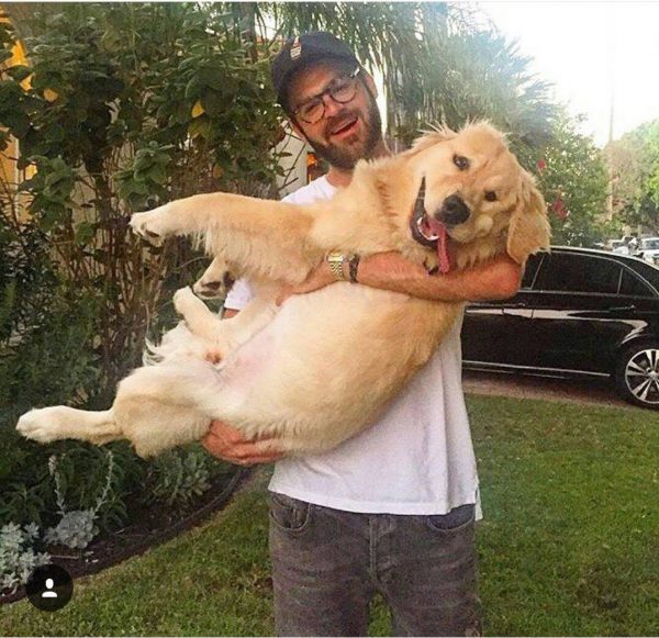 chedder-the-chainsmokers