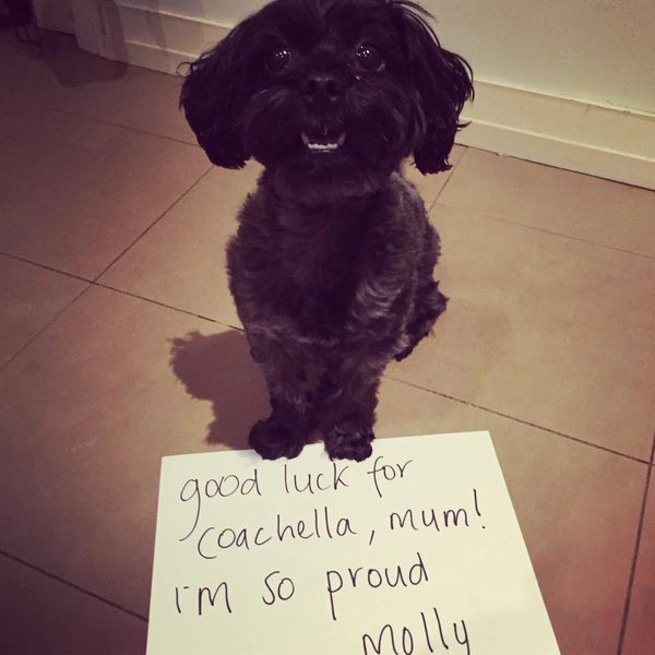 alison-wonderland-molly-2