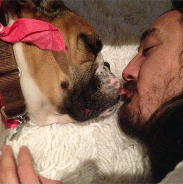 coco-steve